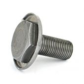 Flywheel Bolt - Verto 1982-2001 