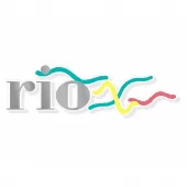 Mini Rio Decal Kit - Sides & Boot