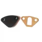 Mini Fuel Pump Blanking Plate