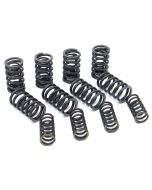 Double Valve Spring Set - 200lb 