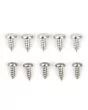 Bonnet Lip Trim Screws for Classic Minis