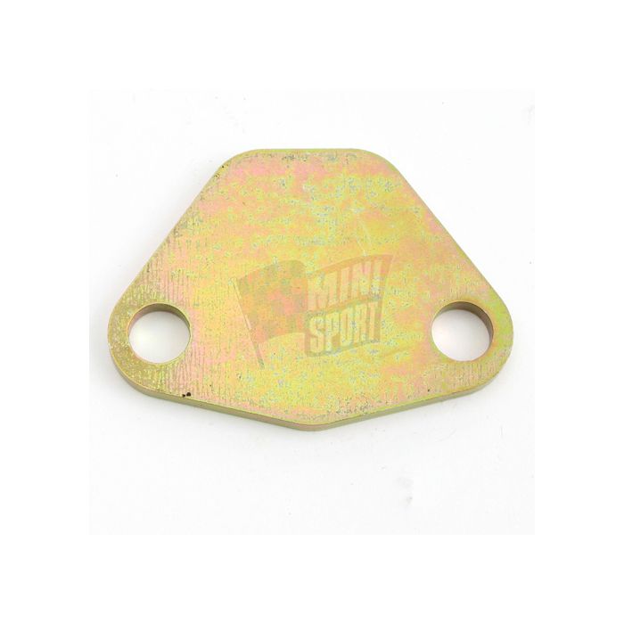 Mini Sport Fuel Pump Blanking Plate 