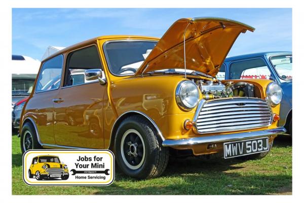 Detailing your Mini - Check out these Top Tips!