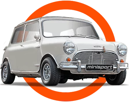 High-Quality Mini Specialists