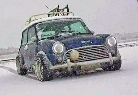 Prep your Mini for Winter!